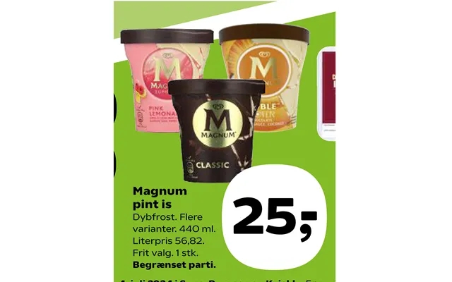 Magnum pint ice product image