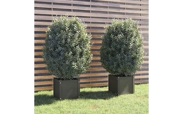 Vidaxl plant boxes 2 paragraph. 40X40x40 cm massively pine gray product image