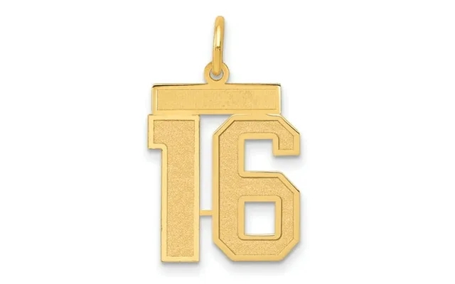 14k Yellow Gold Medium Satin Number 16 Charm product image