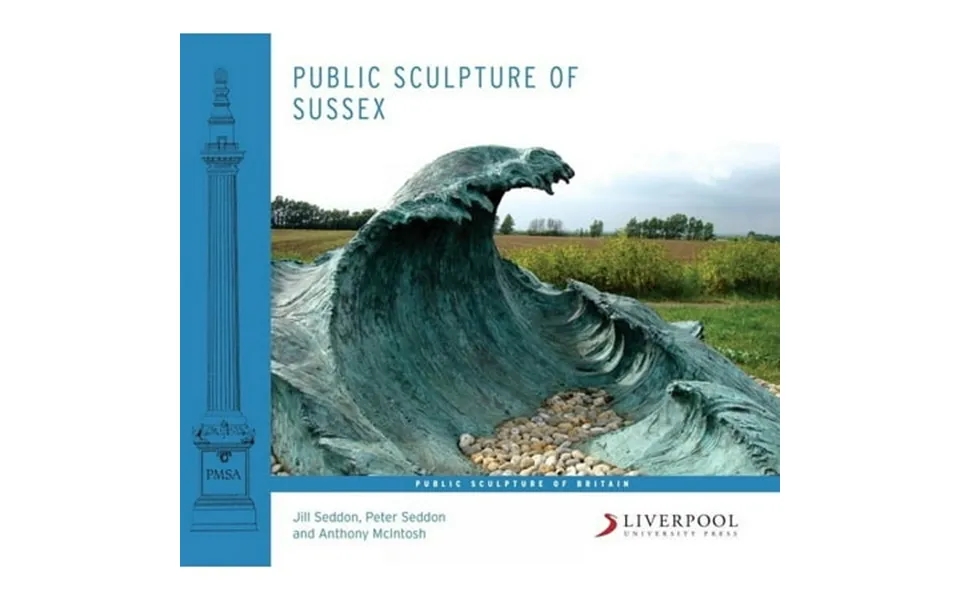 Public Sculpture Of Britain Public Sculpture Of Sussex Book 17 Hardcover