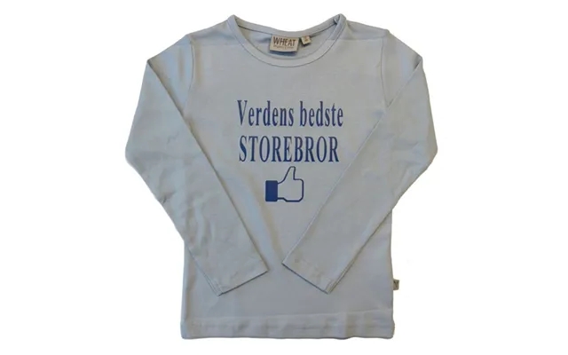Verdens Bedste Storebror T-shirt product image