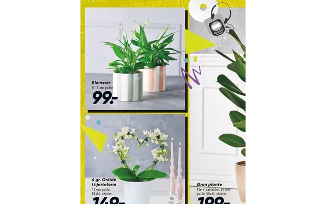 Blomster I Hjerteform Grøn Plante product image