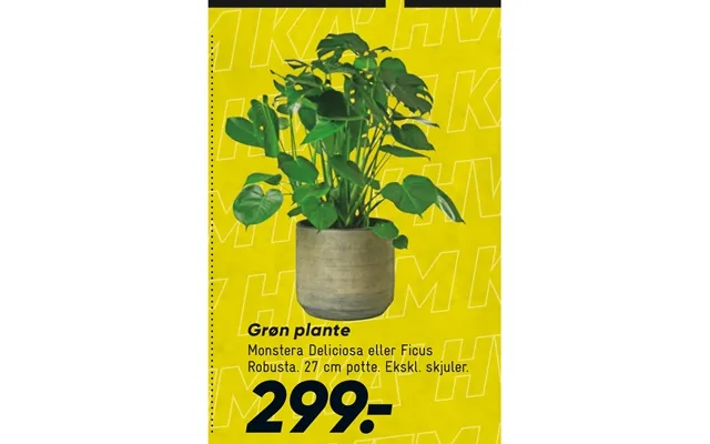 Grøn Plante product image