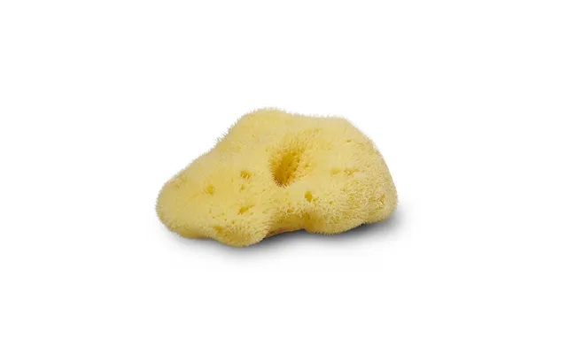 Cocoon company silk sponge 10-11 cm. product image