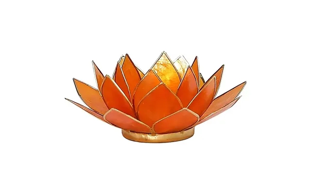 Lotus lysestage - 2 chakra product image