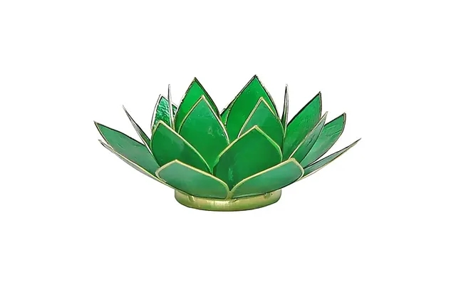 Lotus lysestage - 4 chakra product image