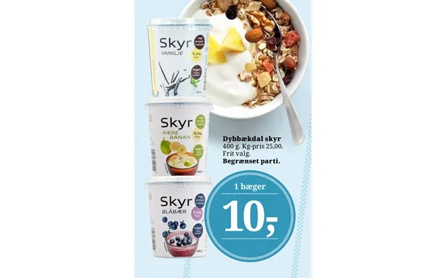 Dybbækdal Skyr product image