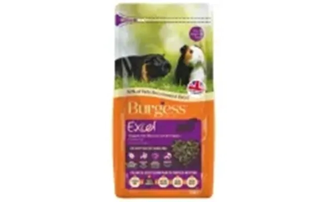 Burgess excel adult marsvinfoder - with blackcurrant past, the laws oregano 10 kg product image