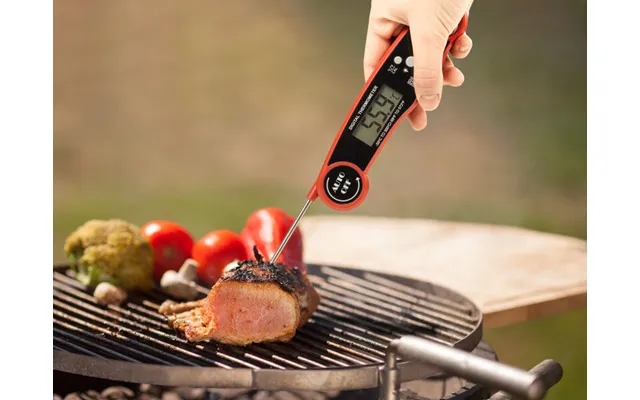 Digital kitchen thermometer product image