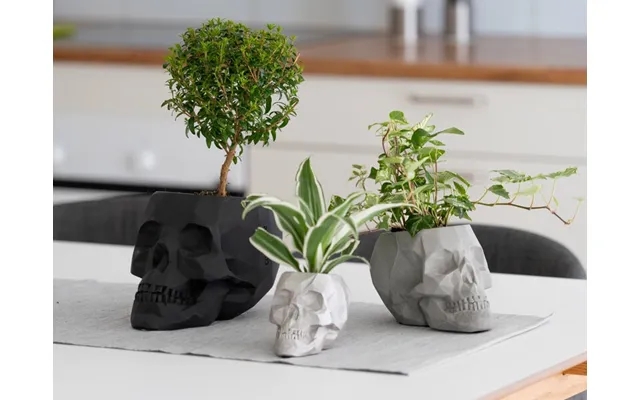 Skull flower pot product image
