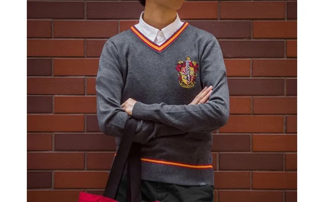 Harry pots hoodie - gryffindor product image