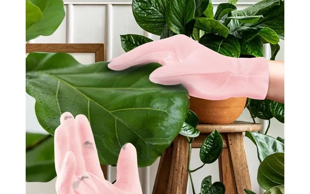 Mini houseplant cleaning gloves to houseplants product image