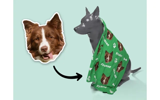 Personligt Hundetæppe Med Navn Og Billede product image