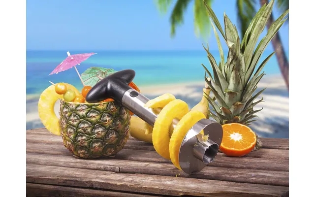 Pineapple peeler - kitchpro product image