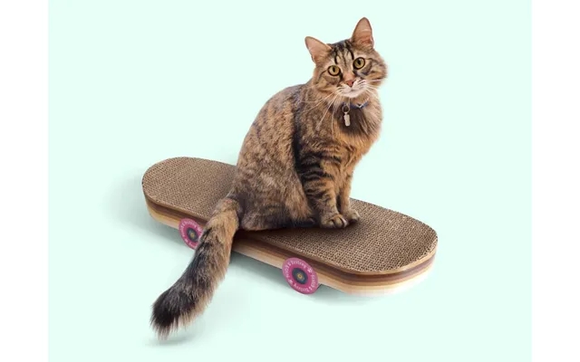 Skateboard Kradsebræt Til Kat product image