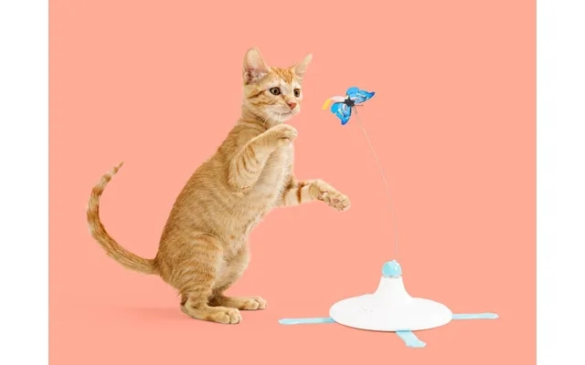 Sommerfugleaktivitetslegetøj to cat product image