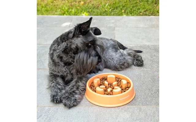 Eat slowly bowls to pets slowfi innovagoods product image