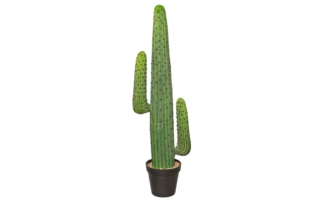 Cactus 125 cm with 2 arms product image