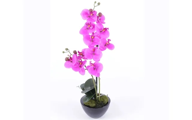 Orchid 53 cm high - artificial orchid product image