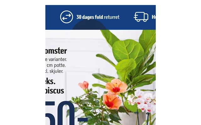 Flowers f.Example.Hibiscus product image