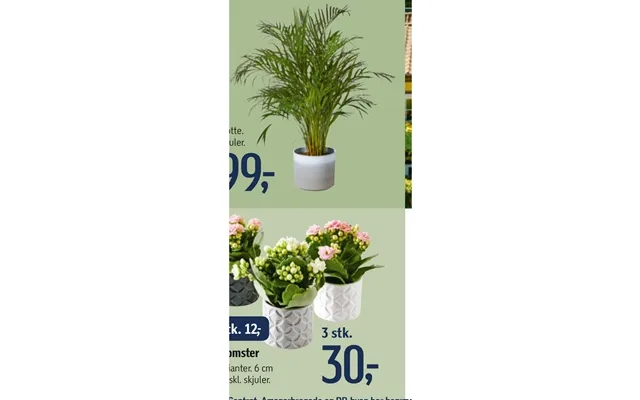 Mini flowers product image