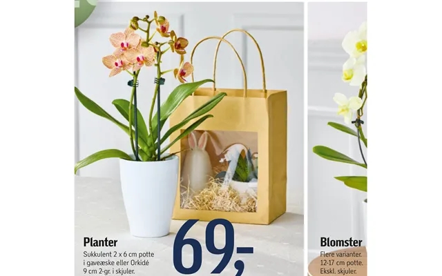 Planter Blomster product image