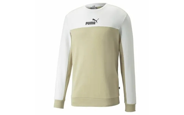 Sweaters Uden Hætte Til Mænd Puma Ess Block M product image