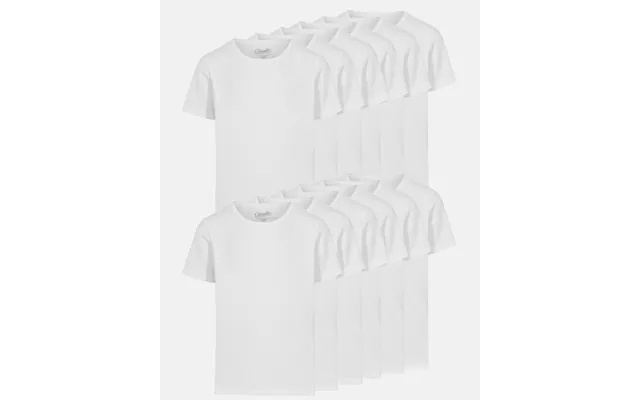 12-pak T-shirt Økologisk Bomuld Hvid product image
