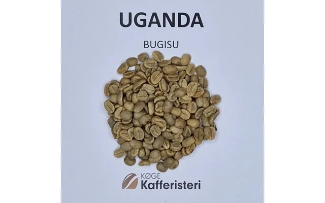 Uganda Bugisu Grønne Bønner product image