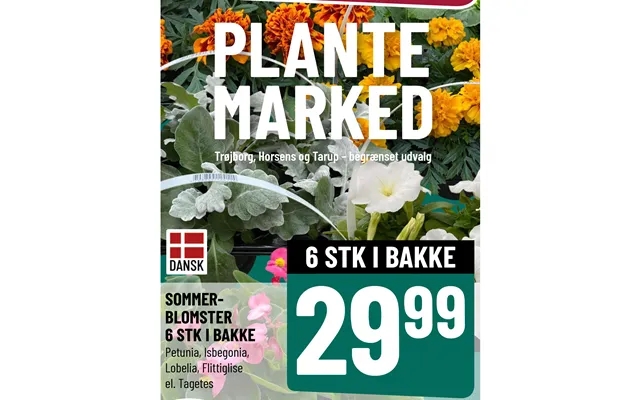 Plante product image