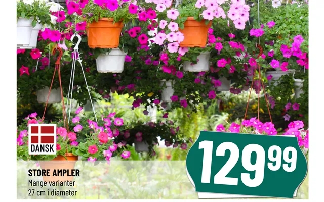 Great hanging baskets product image