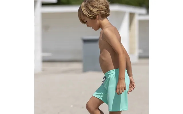 Alex swim shorts - aqua product image