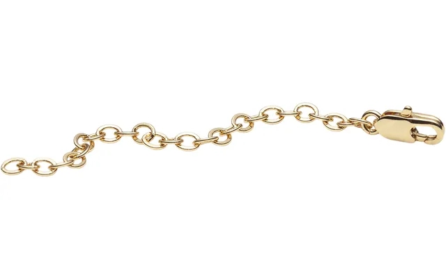 Chain extender gold product image