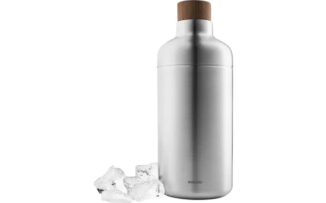 Liquid lounge cocktail shaker product image