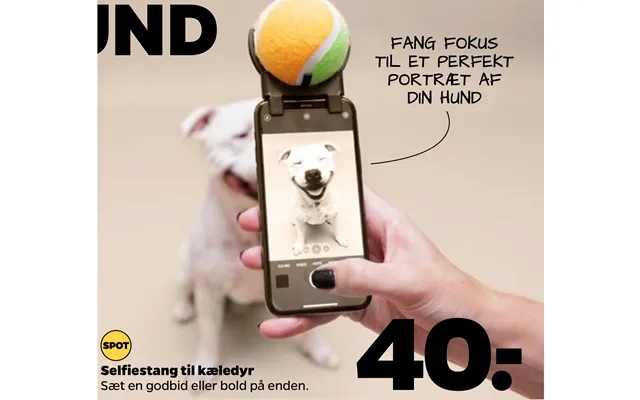 Fang Fokus Fang Fokus Til Et Perfekt Til Et Perfekt Portræt Af Portræt Af Din Hund Din Hund product image