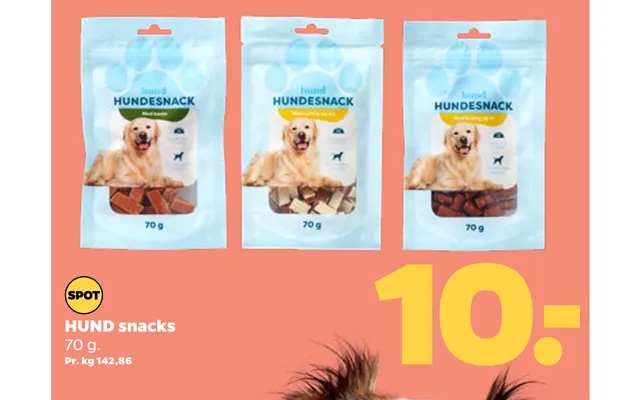 Dog snacks product image