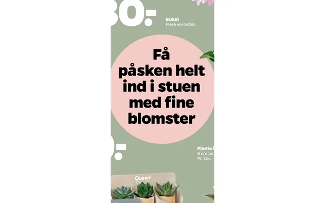 Påsken Helt Ind I Stuen Med Fine Blomster product image
