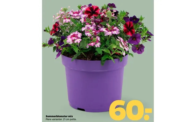 Sommerblomster Mix product image