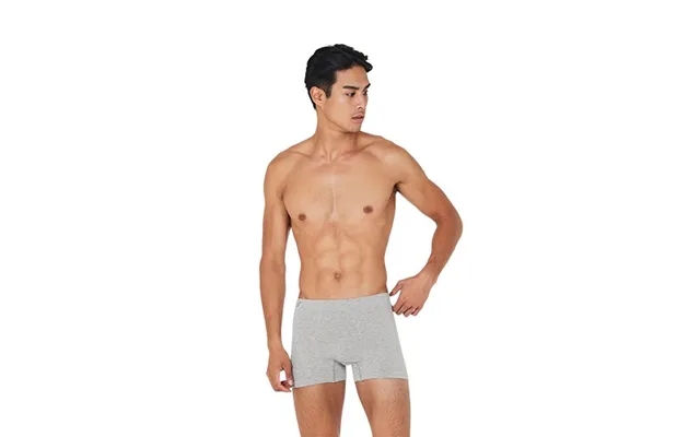 Boxer shorts light gray str. S - 1 paragraph. product image