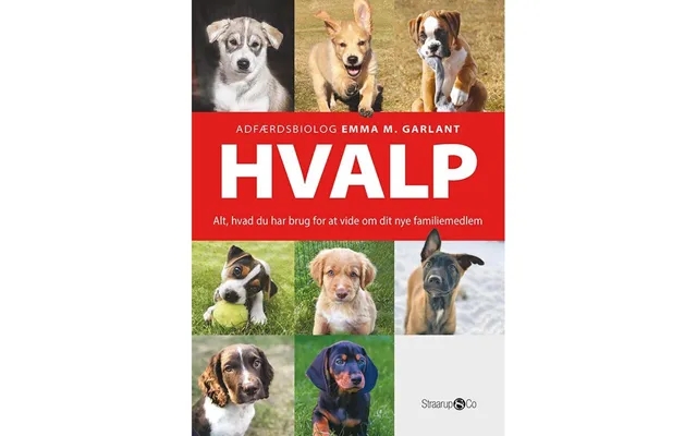 Hvalp - Have product image