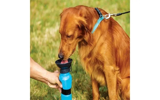 Aqua however, water bottle to dogs product image