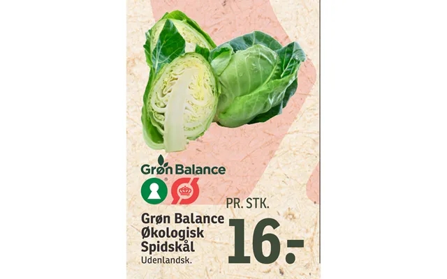 Grøn Balance Økologisk Spidskål product image
