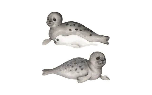 Seal Family product image