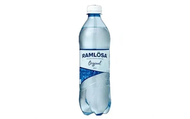 Sparkling Water 0,5 L product image