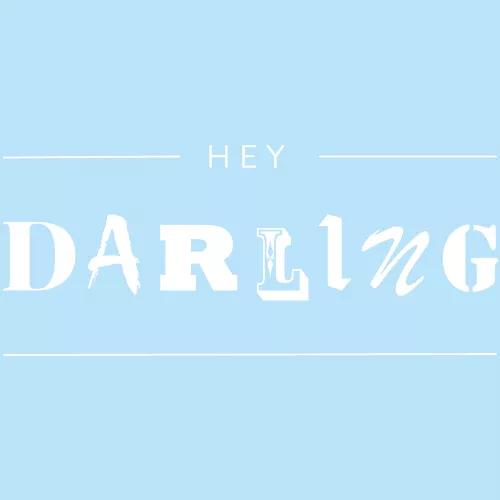 Hey Darling logo