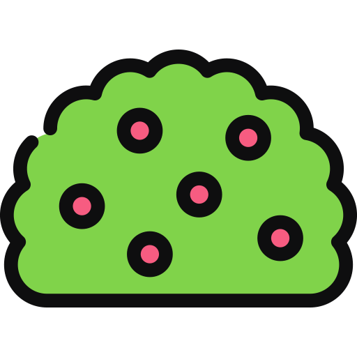 Bushes & Shrubs