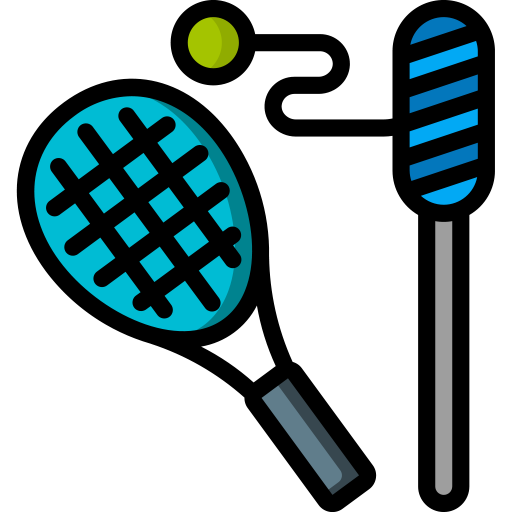 Legetøjsketsjersport