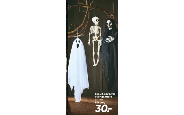 Skeleton, ghost or apparitions product image