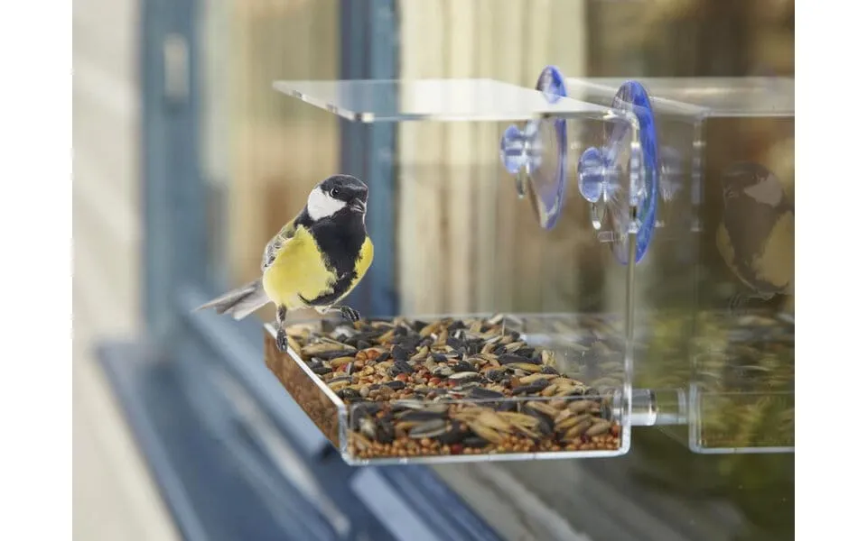 Bird feeder to window - utenu