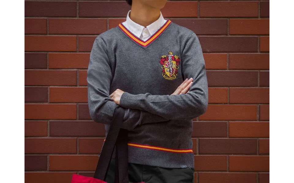 Harry pots hoodie - gryffindor